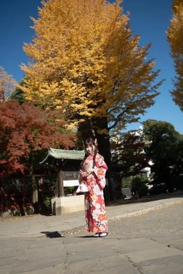 今日も朝日奈をチェック?