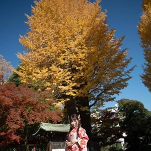 今日も朝日奈をチェック?