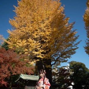 酉の市行きたいな?