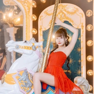 メリーゴーランドすごいでしょ