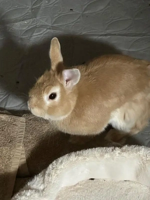 おやすみなさい☆