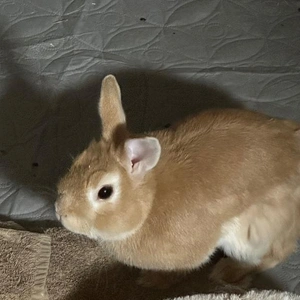 おやすみなさい☆