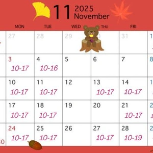 11月スケジュール