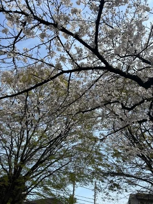 そんなこともあるさ