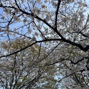 そんなこともあるさ