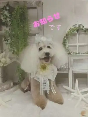 ⭐︎ 出勤変更のお知らせ ⭐︎