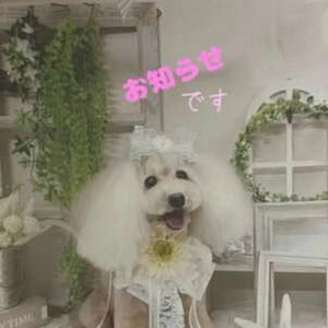 ⭐︎ 出勤変更のお知らせ ⭐︎