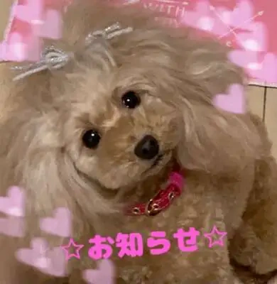 ⭐︎ 出勤変更のお知らせ ⭐︎