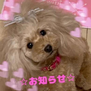 ⭐︎ 出勤変更のお知らせ ⭐︎