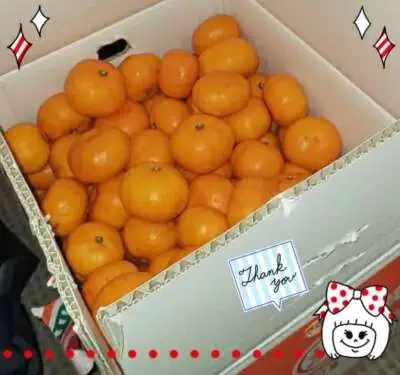 お礼)11(木)笑顔いっぱいの1日に感謝です♡&ミカンの冬便りが届きました꒰ ๑ּగᴗ̂గ๑꒱ෆ⃛*