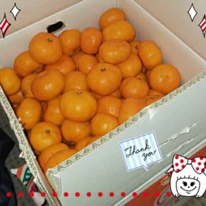 お礼）11（木）笑顔いっぱいの1日に感謝です♡＆ミカンの冬便りが届きました꒰ ๑ּగᴗ̂గ๑꒱ෆ⃛*