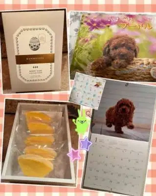 お礼）13（土）充実した優しく楽しい1日をありがとうございました❀.(*´◡`*)❀.