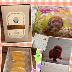 お礼）13（土）充実した優しく楽しい1日をありがとうございました❀.(*´◡`*)❀.