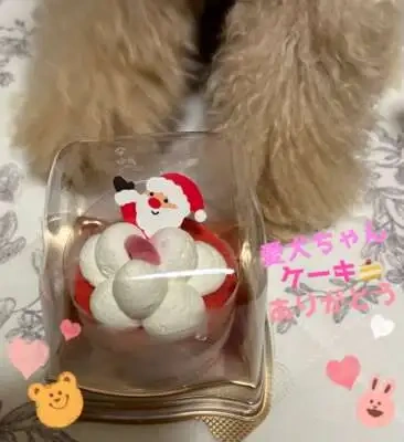 お礼）25（木）今日も優しく穏やかな1日をありがとうございました♡◡̈♥︎＆Bluesky凍結しました( ´艸｀)