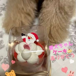 お礼）25（木）今日も優しく穏やかな1日をありがとうございました♡◡̈♥︎＆Bluesky凍結しました( ´艸｀)