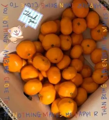 お礼)12(月)充実した1日をありがとうございました٩꒰๑ ´∇`๑꒱۶