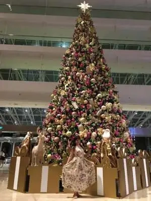 大きなツリー🎄