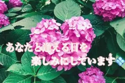 今日明日は熟女の事情により、お休みいただきます。