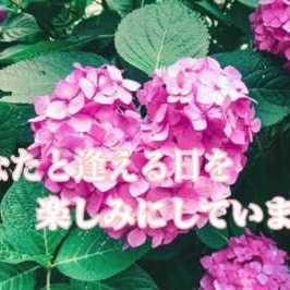 今日明日は熟女の事情により、お休みいただきます。
