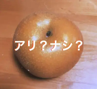 世間知らず痴女のアリ？ナシ？💋🍐