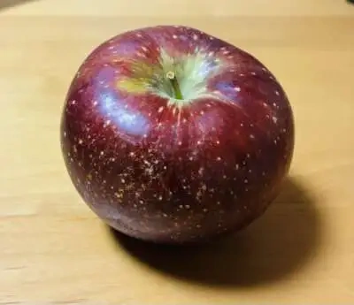 感謝の尻ーズ🍑エロスの余韻は続きます💋