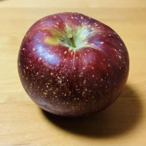 感謝の尻ーズ🍑エロスの余韻は続きます💋