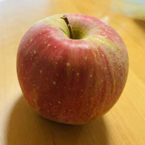 一緒に乗り切りましょうね🍎