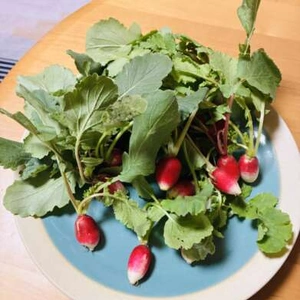 最近これにハマってます🌿