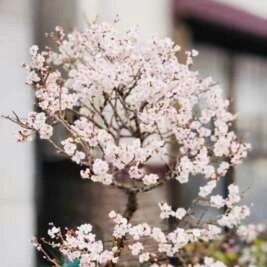 感謝の尻ーズ🍑エロスの余韻は続きます❤️