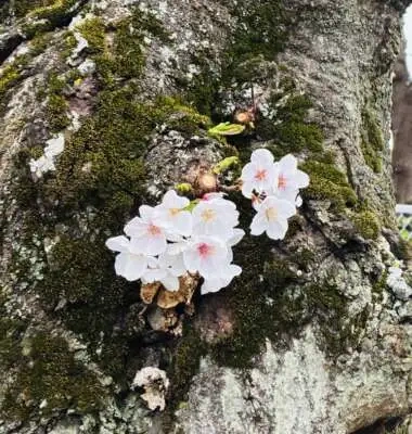 感謝の尻ーズ🍑エロスの余韻は続きます❤️
