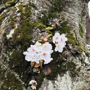感謝の尻ーズ🍑エロスの余韻は続きます❤️