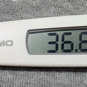 れんか朝刊