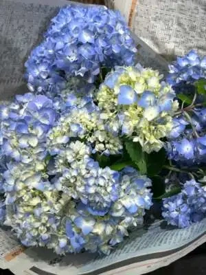 6月