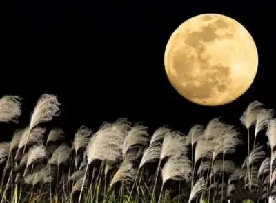 ハーベストムーン🌕