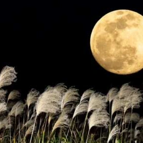 ハーベストムーン🌕