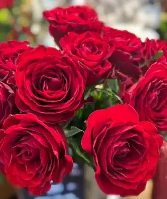 イイ娘増えてました✨