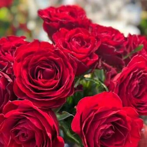 イイ娘増えてました✨