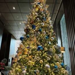 クリスマスイブ🎄✨