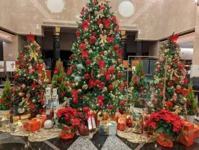 12月スケジュール⛄️🎄