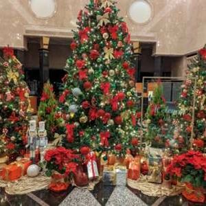 12月スケジュール⛄️🎄