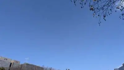 3月スケジュール🗓️