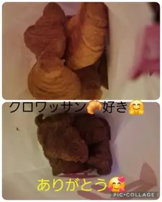 ありがとうございました(❁ᴗ͈ˬᴗ͈)ﾍﾟｺﾘ♡...*゜