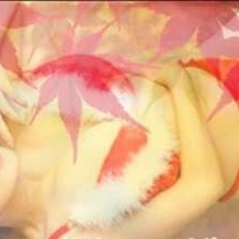 今晩は(๑•᎑•๑)♬*゜