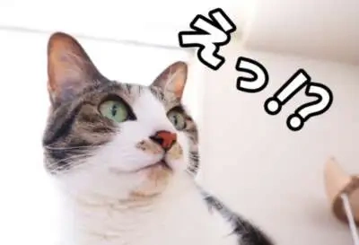 お疲れ様ですm(_ _)m