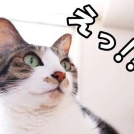 お疲れ様ですm(_ _)m