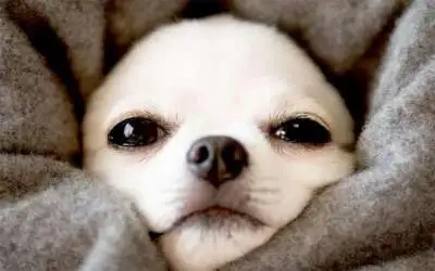 (。・・)ノぉはょぅ♪