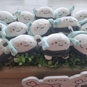 明日(月)はお休み•ᴗ•ꕤ*