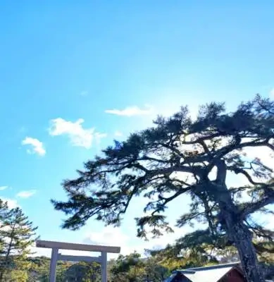 澄んだ空気の朝☀️