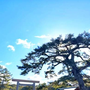 澄んだ空気の朝☀️