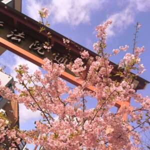 おはようございます🩷